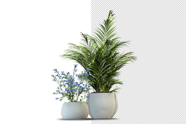 PSD fleurs de plantes en pot en rendu 3d isolé