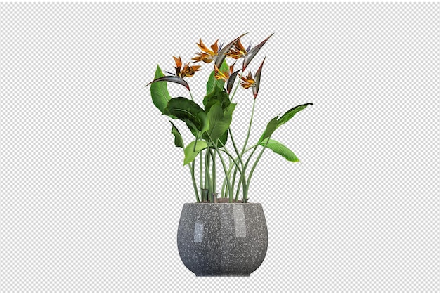 Fleurs en pot en rendu 3d isolé