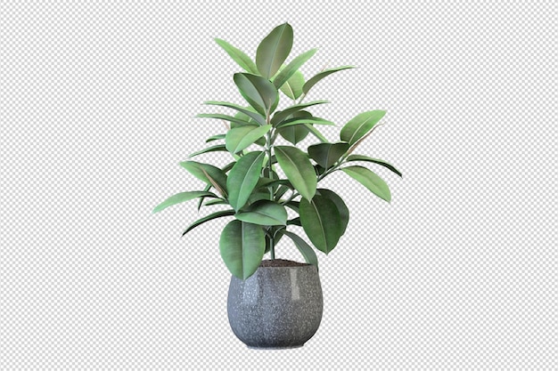 Fleurs en pot en rendu 3d isolé