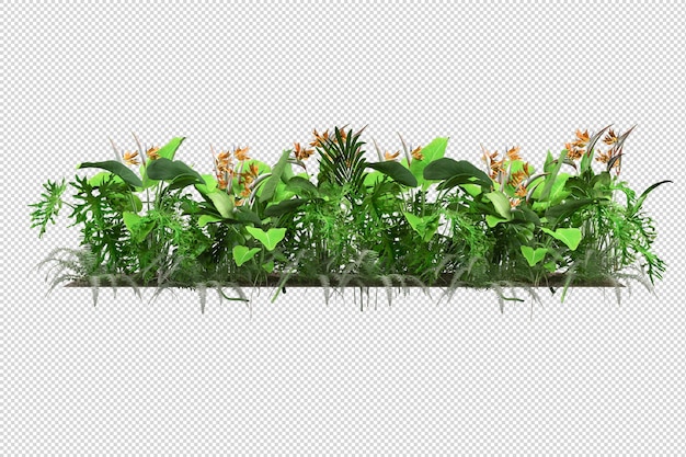 Fleurs en rendu 3d isolé