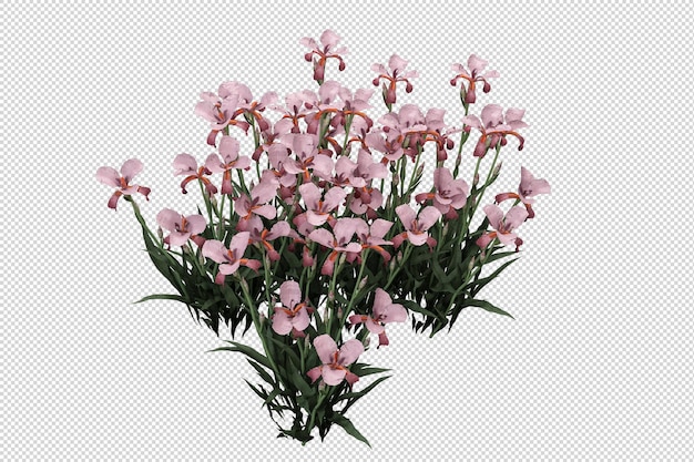 PSD fleurs en rendu 3d isolé