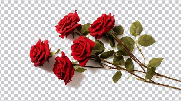 Fleurs roses png