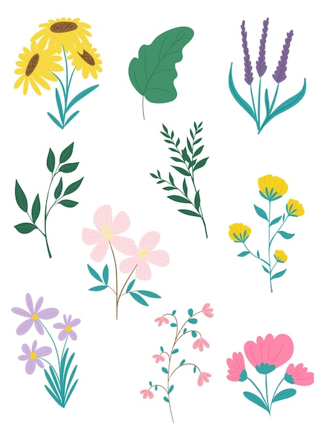 PSD fleurs