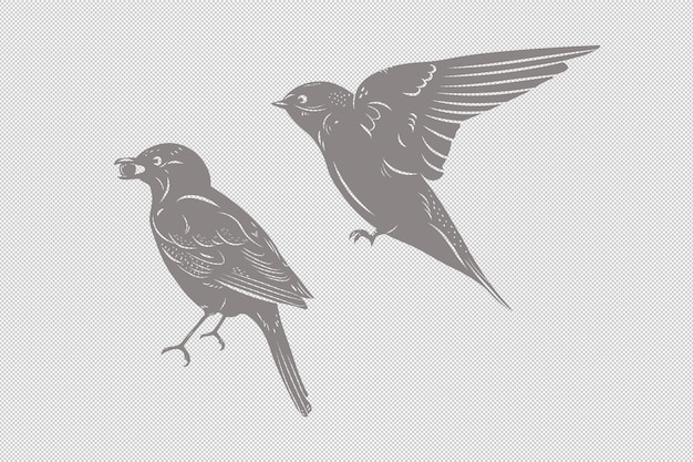 PSD fliegende vögel mit beeren isolierten clipart-illustrationen