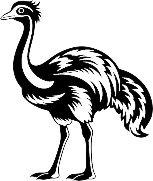 Flightless African bird with long neck legs silhouette in striking black