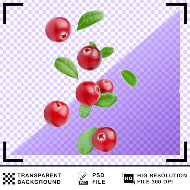 Floating Cranberries and Leaves on Transparent Background