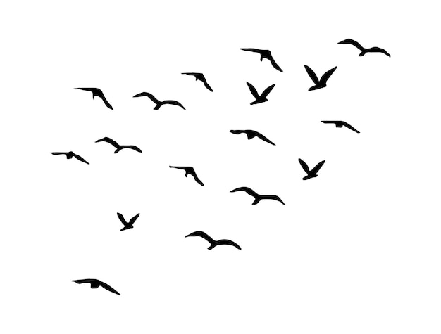 Flock of Birds Flying Silhouette Isolated Migratory Bird Formation