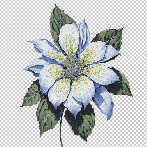 Flor de acuarela