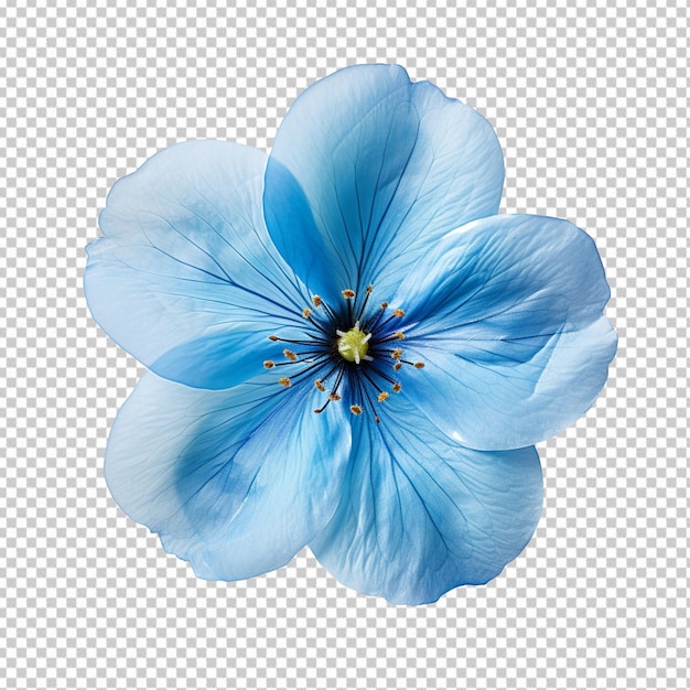 PSD flor azul clara isolada em fundo transparente