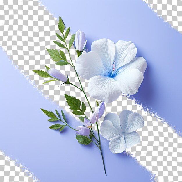 PSD flor azul com folhas em fundo transparente espaço de cópia disponível