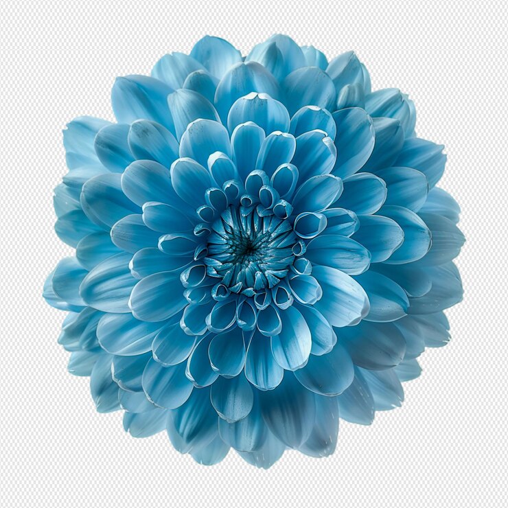 flor azul em fundo branco