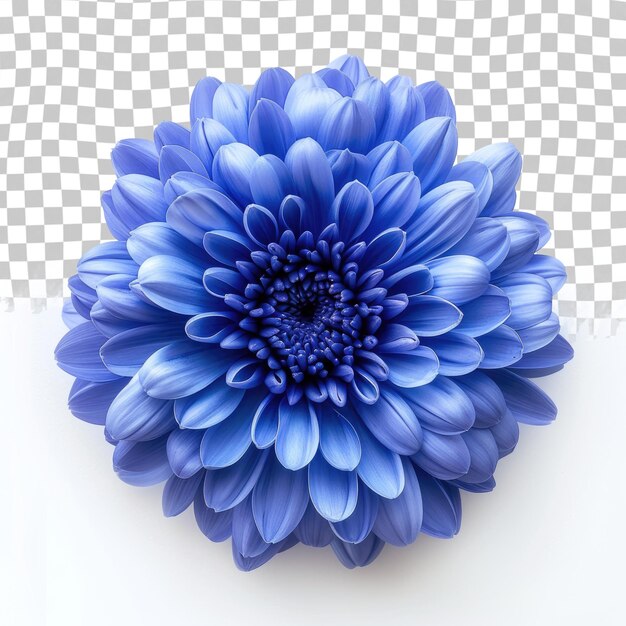 PSD una flor azul con una flor azul en ella