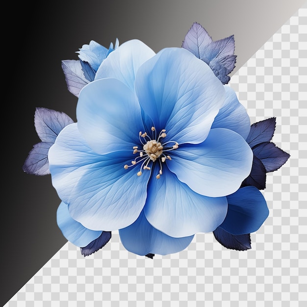 PSD flor azul isolada em fundo transparente