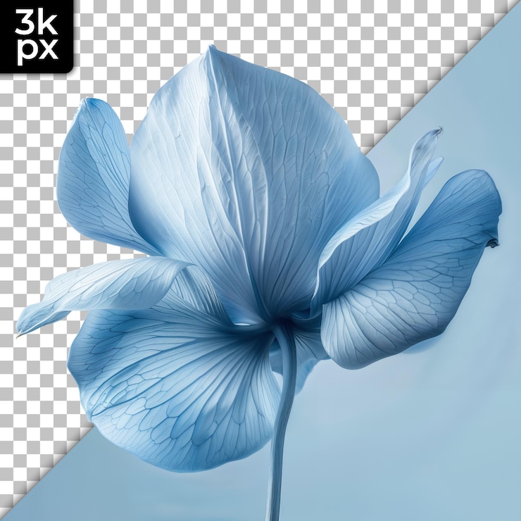 PSD una flor azul con las letras f2 y la parte inferior de ella