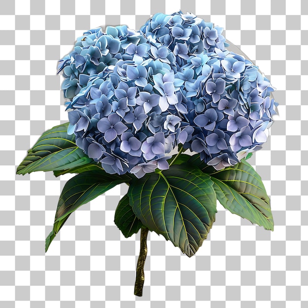 PSD una flor azul de primer plano sobre un fondo blanco