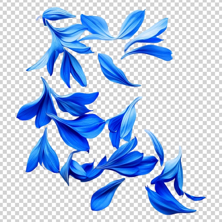 PSD flor azul voladora aislada en un fondo transparente