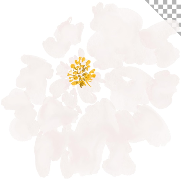 Flor blanca en acuarela Elemento de diseño con tema floral
