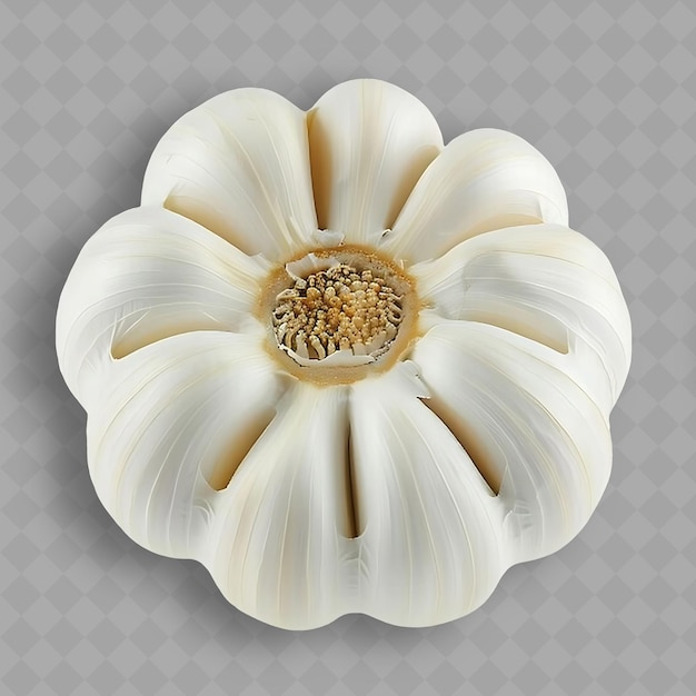 PSD una flor blanca con un centro amarillo y un fondo blanco