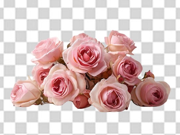 PSD flor branca e rosa png