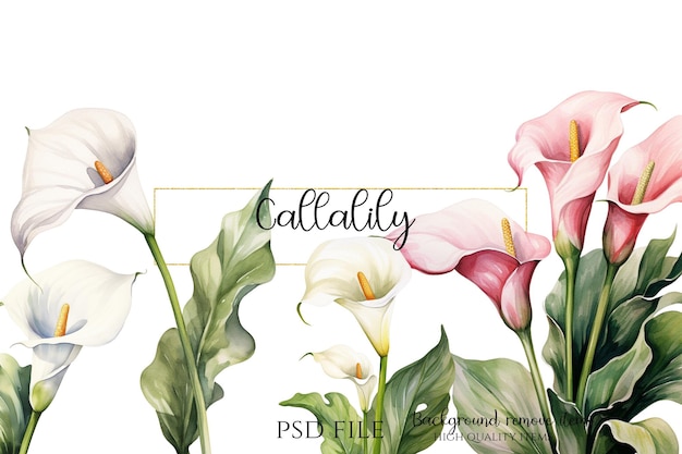 PSD flor de callalily para invitaciones diseño de flores para bodas y gráficos