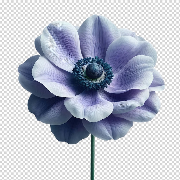 Una flor con un centro azul y un centro púrpura