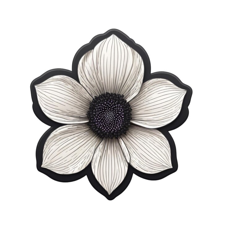 PSD una flor con un centro negro y una flor blanca