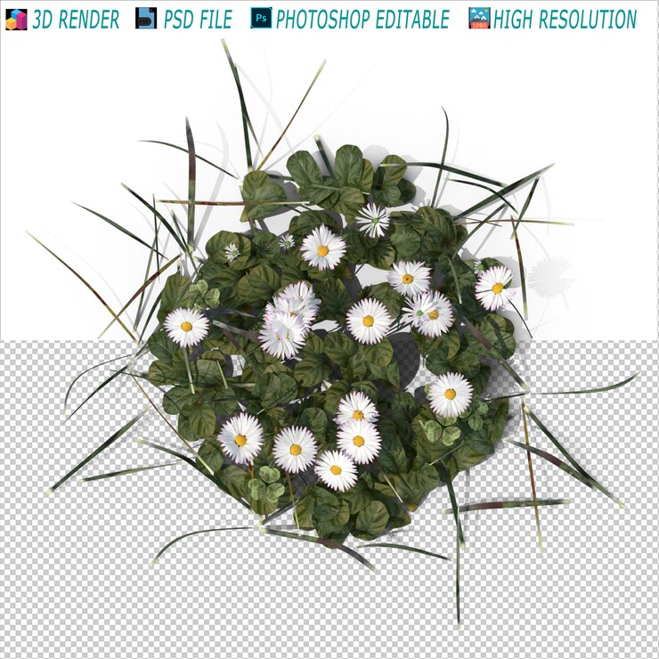 PSD flor com grama arquivo psd 3d