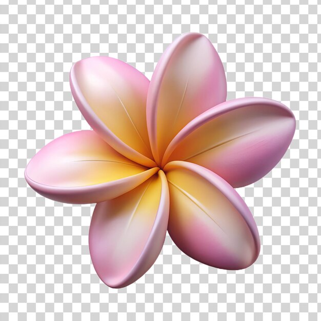 PSD flor de plumeria 3d isolada em fundo transparente