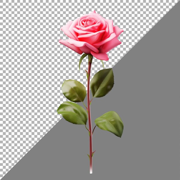 PSD flor de rosa em fundo transparente ai gerado