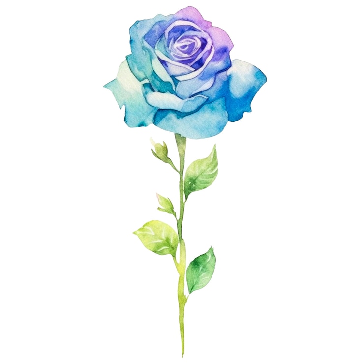 PSD flor de rosa pintada a aquarela elemento de design desenhado à mão isolado em fundo transparente