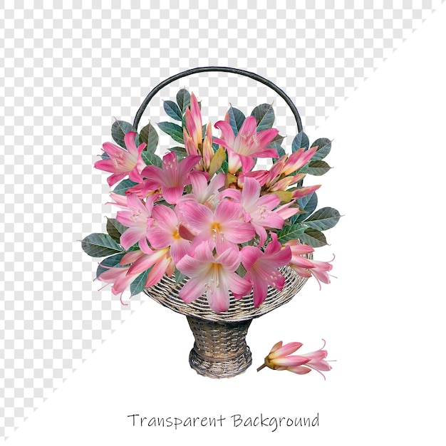 Flor con fondo transparente