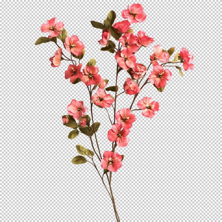 PSD flor de freesia png aislada sobre un fondo transparente