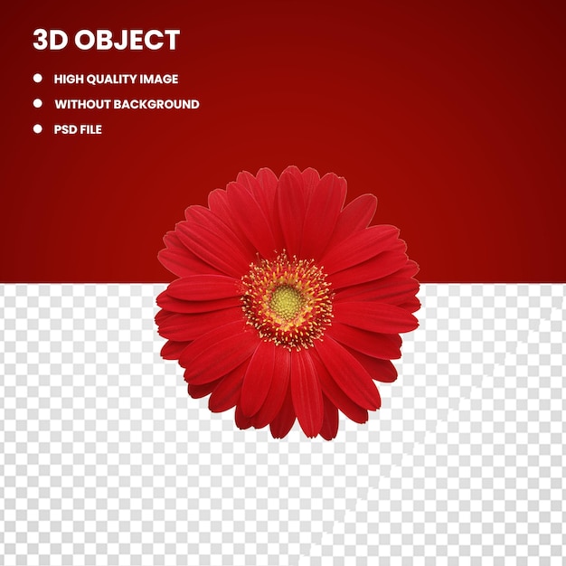 PSD flor de gerber roja 3d