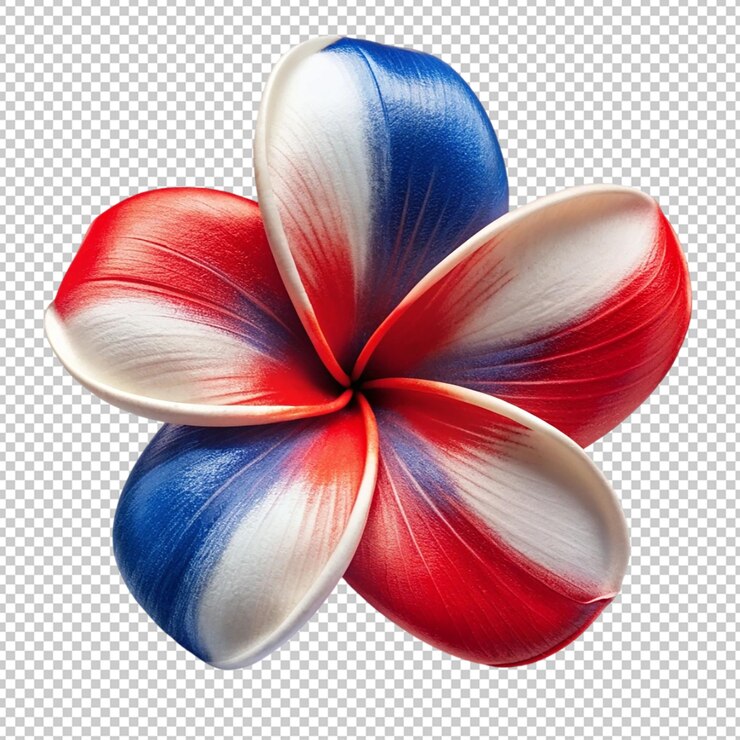 PSD flor hawaiana blanca y azul sobre un fondo transparente