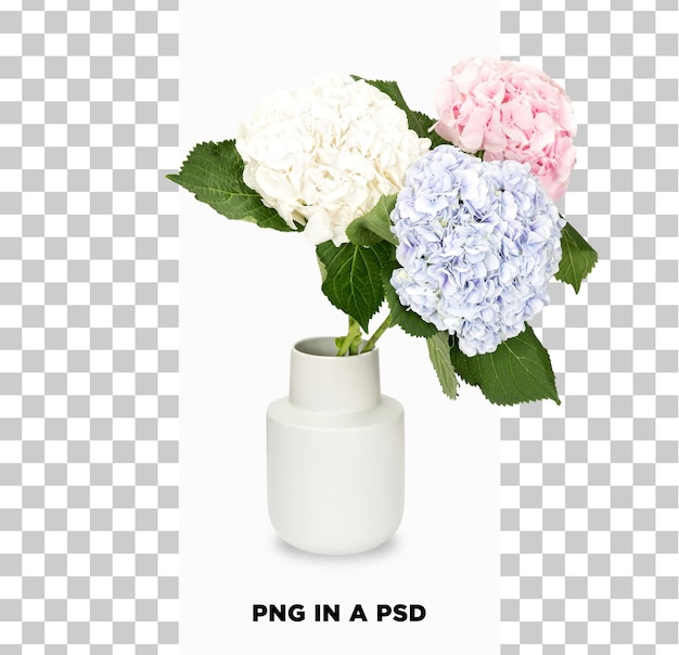 La flor de la hortensia rosa es una flor impresionante aislada sobre un fondo transparente