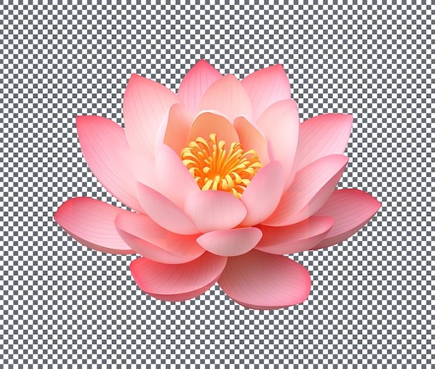 flor de loto aislada en un fondo transparente