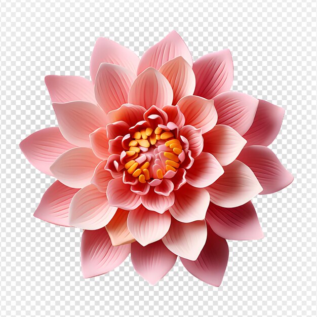 Flor de loto rosa en flor vista superior aislada en un fondo transparente generativa ai