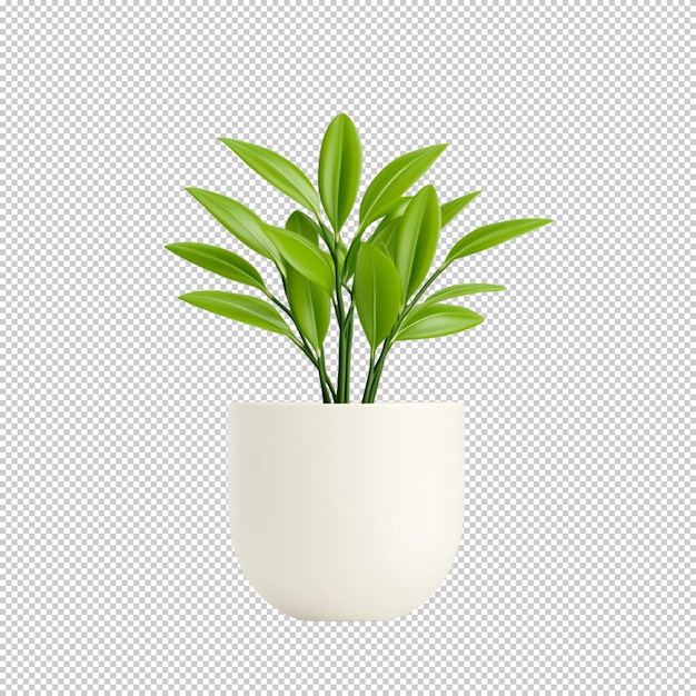 Flor de maceta de una planta aislada sobre un fondo transparente