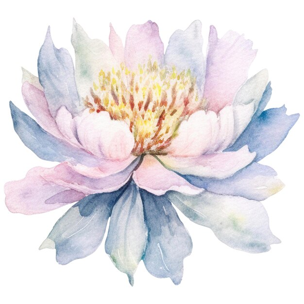 PSD flor de peonía pintada en acuarela elemento de diseño dibujado a mano aislado sobre un fondo transparente