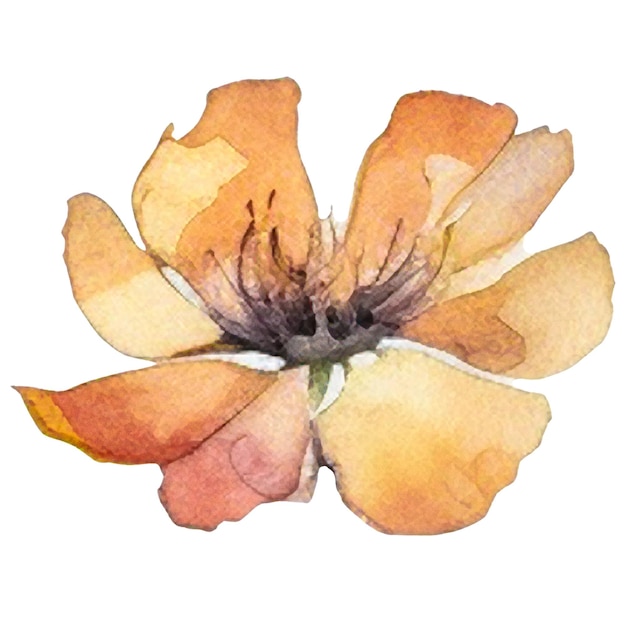 Flor pintada en acuarela Elementos de diseño floral dibujados a mano aislados sobre un fondo blanco