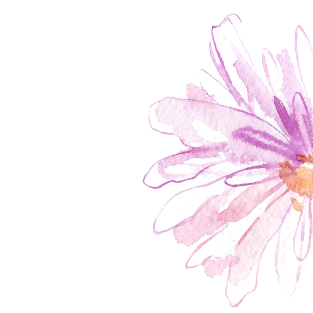 Flor pintada en acuarela Elementos de diseño floral dibujados a mano aislados sobre un fondo blanco