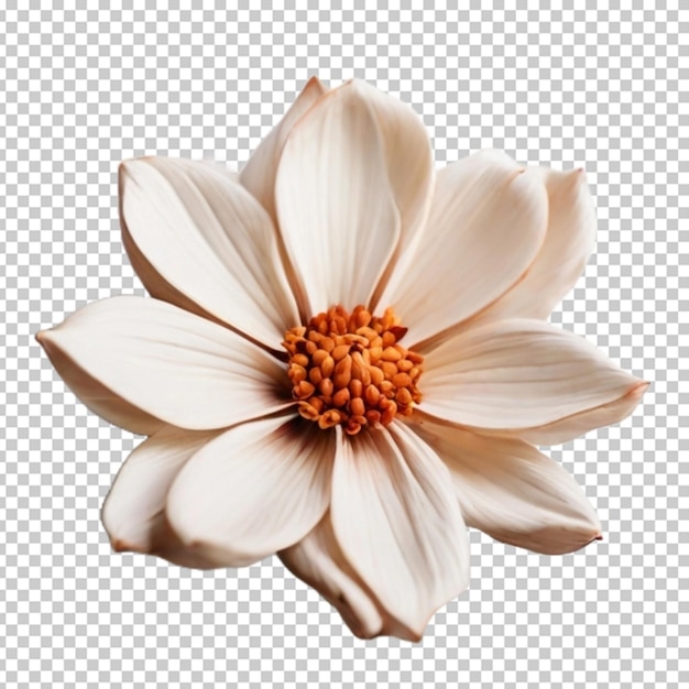 Flor en png psd.