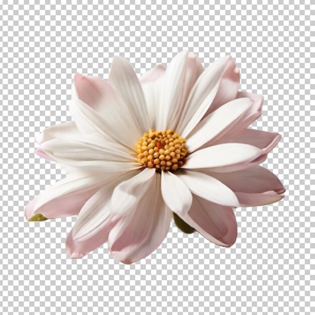 Flor en png psd.