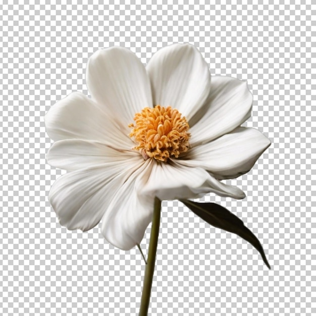 Flor en png psd.