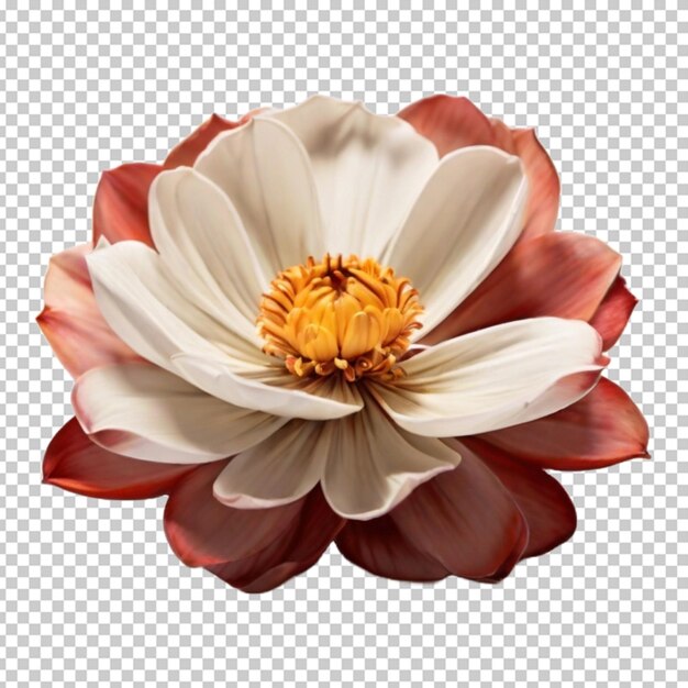 PSD la flor en png.