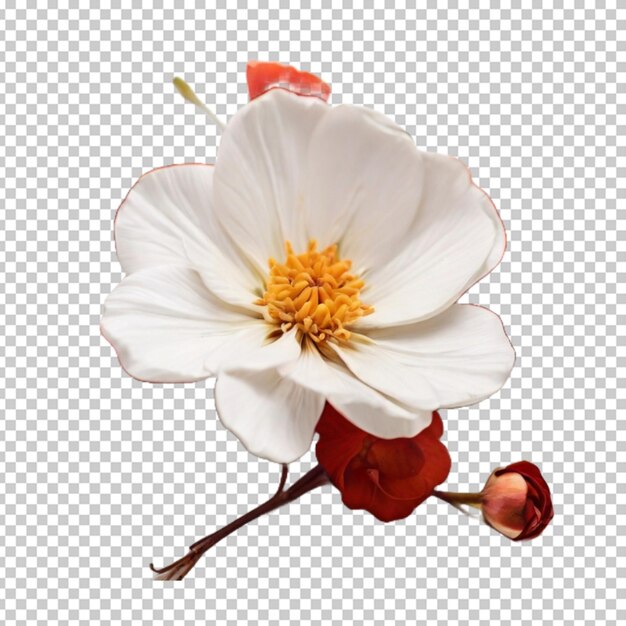 PSD la flor en png.