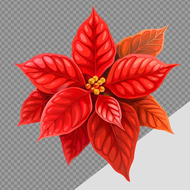 La flor de poinsettia png aislada sobre un fondo transparente