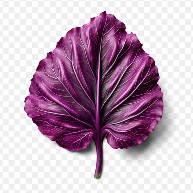 PSD una flor púrpura con la palabra hibisco en ella