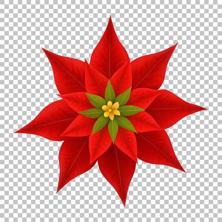 PSD una flor roja con un centro amarillo y un centro verde
