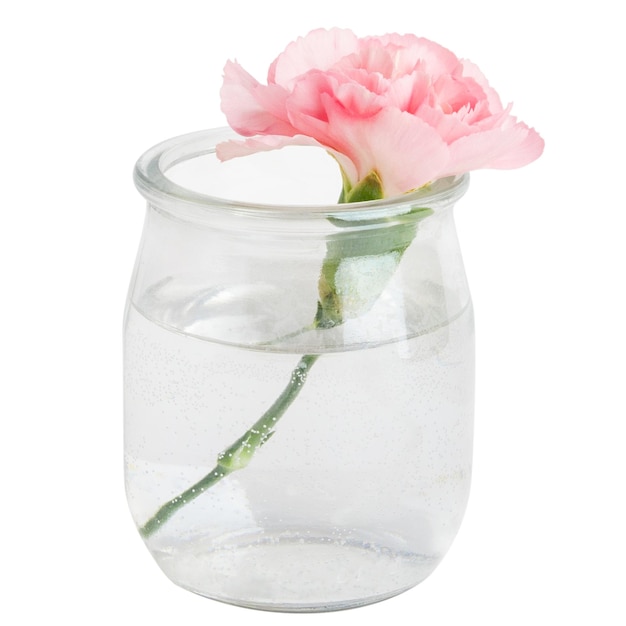 PSD flor rosa em um frasco ou vaso transparente em miniatura em um fundo em branco.